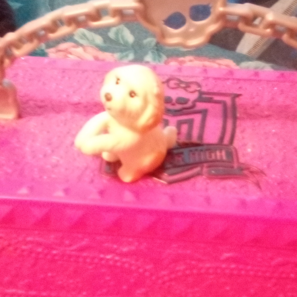 Doll pet